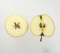 James Grieve æble